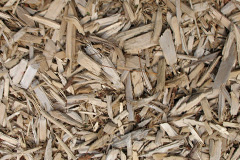 biomass boilers Tregony